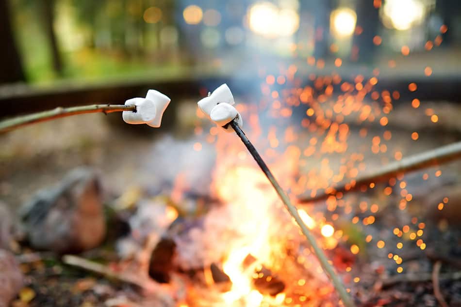 Roasting marshmallows by the campfire
