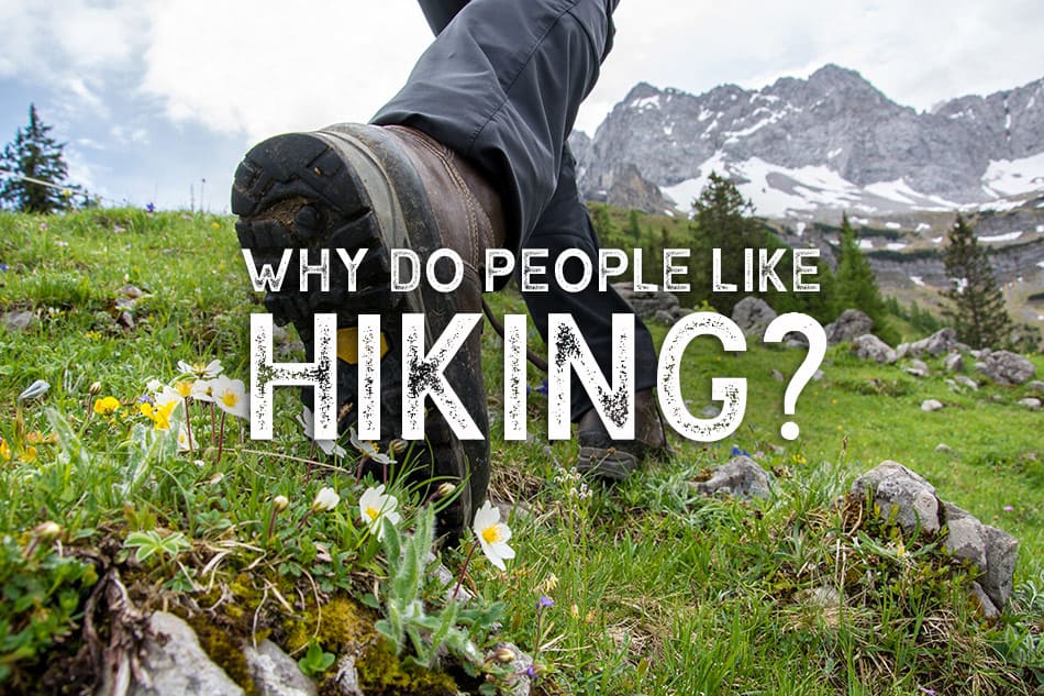 Closeup of hiking boots in grassy mountains