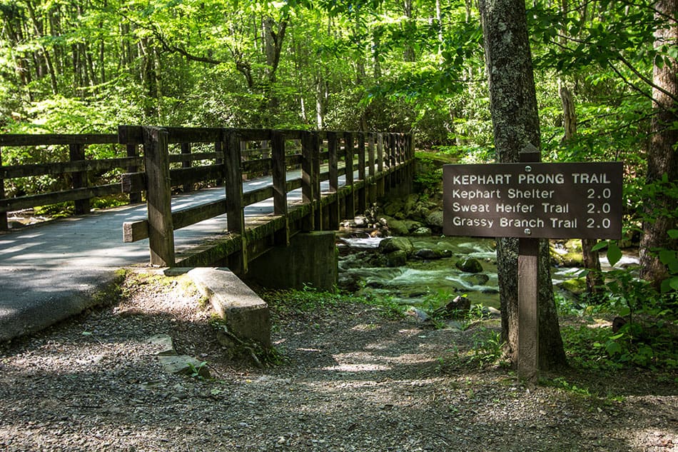 Bridge over a creek on a hiking trail